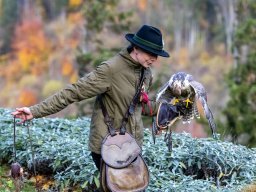 Photowalk - Hohenwerfen Castle - Falconry Austria